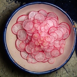 sliced red radish